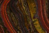 Polished Tiger Iron Stromatolite - Billion Years #129348-1